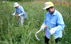 里山実行委員会