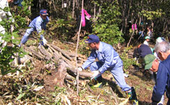 森林経営サポート